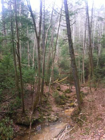 Buck Trail - 2